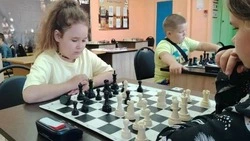 Вейделевская спортивная школа посвятила шахматный турнир Дню физкультурника