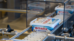 Новая линия по производству мягкого сыра в рассоле открылась в Белгородской области