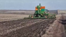 Земледельцы акционерного общества «Должанское» Вейделевского района приступили к севу 12 марта