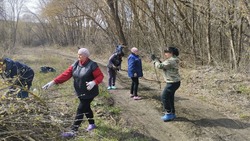 Жители Вейделевского района участвуют в месячнике добровольного служения Белгородской области