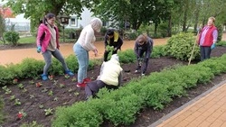 Вейделевцы приняли участие в субботнике по благоустройству райцентра