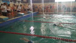 Вейделевские спортсмены выступили на межрайонных соревнованиях по плаванию