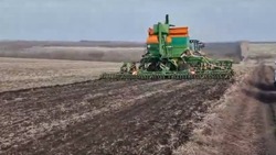 Сельские труженики Вейделевского района скоро завершат подкормку посевов озимых 