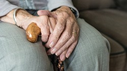 ПФР призвал пенсионеров остерегаться неквалифицированной юридической помощи