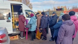 Традиционная ярмарка выходного дня прошла в Вейделевке 16 ноября