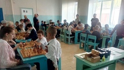 Шахматисты Вейделевского района стали участниками турнира накануне Дня Победы