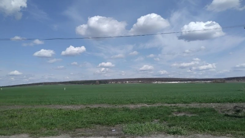 Белгородский Росреестр напомнил жителям региона о признаках неиспользования земельных участков