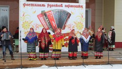 Вейделевцы провели фестиваль русской гармошки 18 февраля