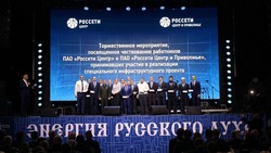 Энергетики «Россети Центр» и «Россети Центр и Приволжье» получили награды в Москве