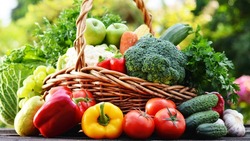 Центр отраслевой экспертизы Россельхозбанка сообщил о росте потребления овощей в 2023 году