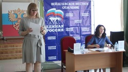 Вейделевские первичные отделения партии «Единая Россия» представили идеи на муниципальный конкурс 